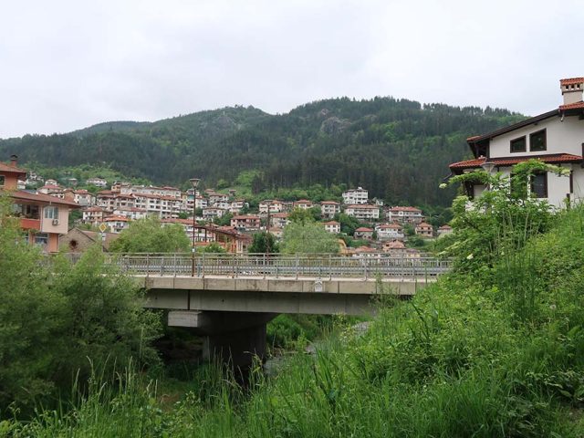 IMG 0065